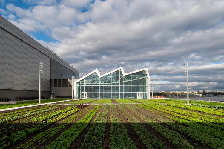 The Farm at the Javits Center - Brooklyn Grange
